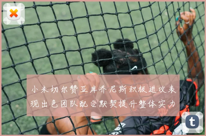 小米切尔赞亚库乔尼斯积极进攻表现出色团队配合默契提升整体实力