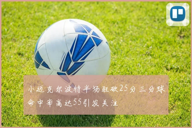 小迈克尔波特半场狂砍25分三分球命中率高达55引发关注