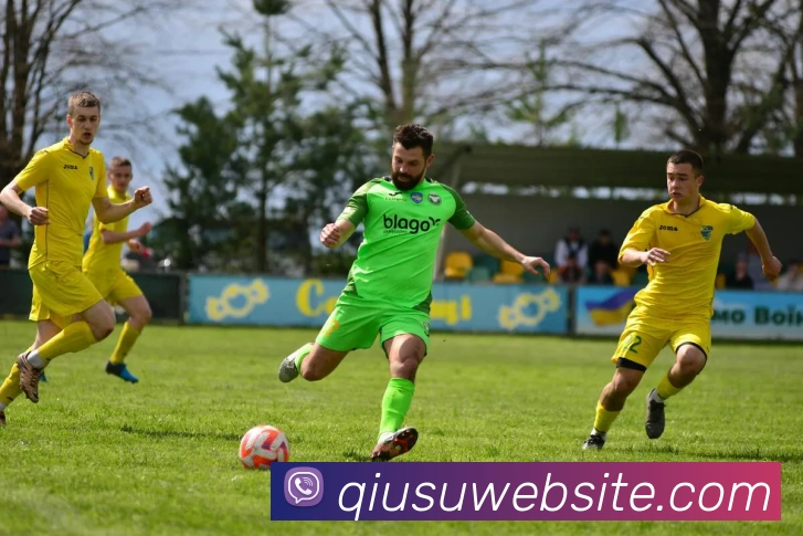 球速体育平台生态图